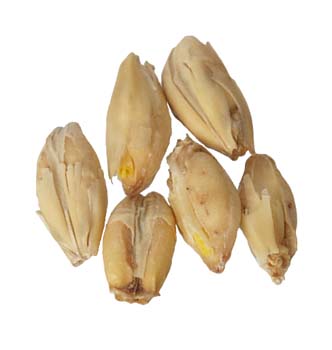 Fawcett Maris Otter 10 lb Milled