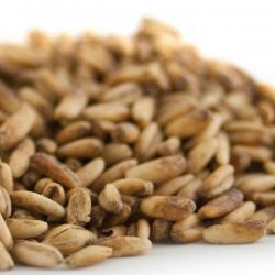 Simpsons Golden Naked Oats&trade;